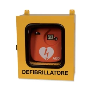 Teca Armadietto Defibrillatore per Esterno con Allarme